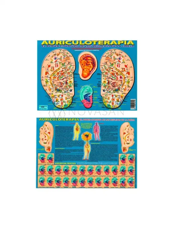 Auriculoterapia el poder curativo A4
