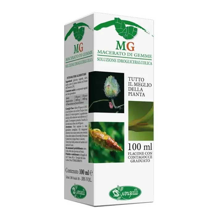 AVELLANA 100ML MG
