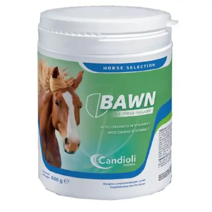 BAÑÓN 600G