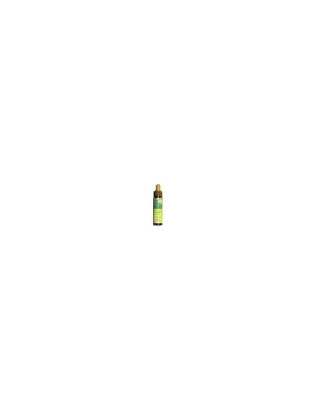 Beech plantis Nº 03 30ml.