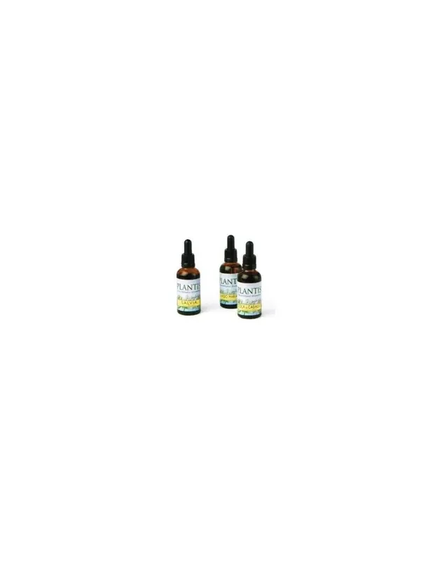 Ext. Diente Leon 50ml Maese Herbario