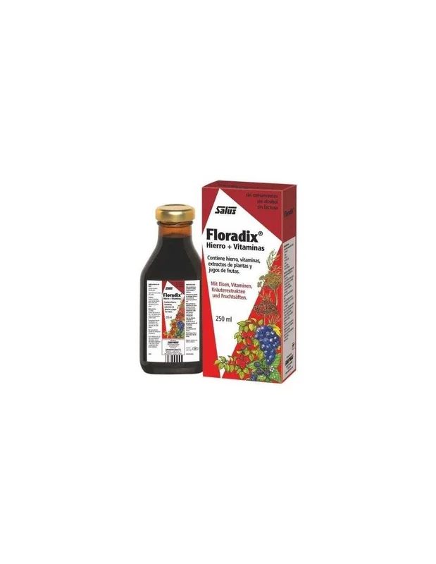 Floradix Elixir 500 ml