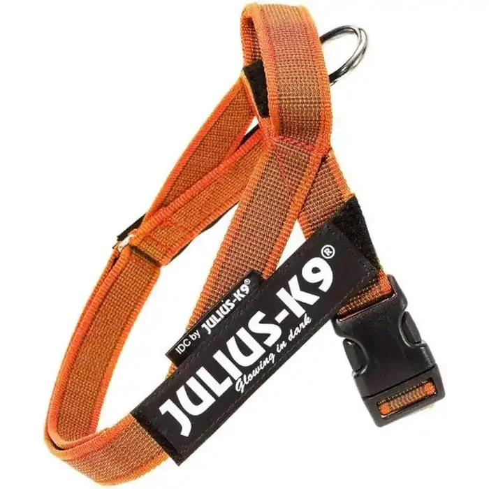 «GIMDOG BAM HUESOS DE POLLO 7″» – 17.8CM»