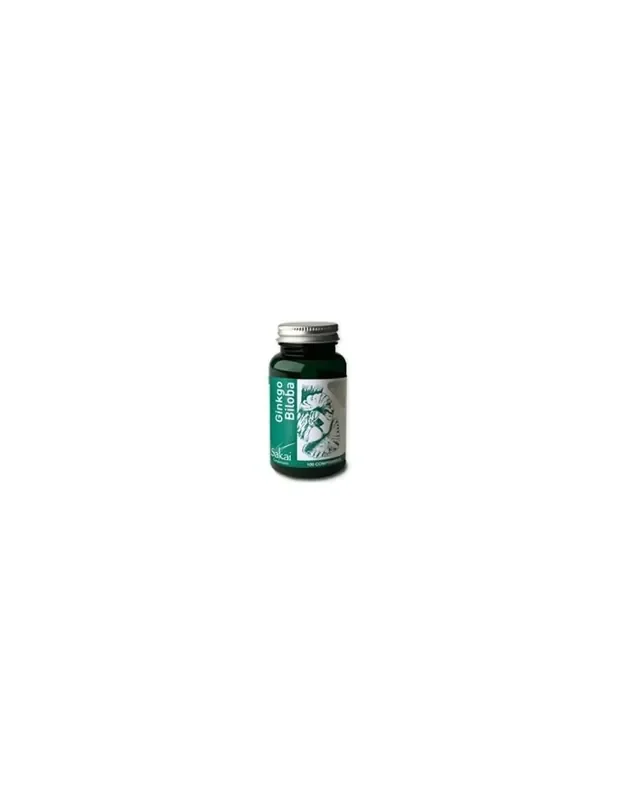 Ginkgo biloba 100 comp.