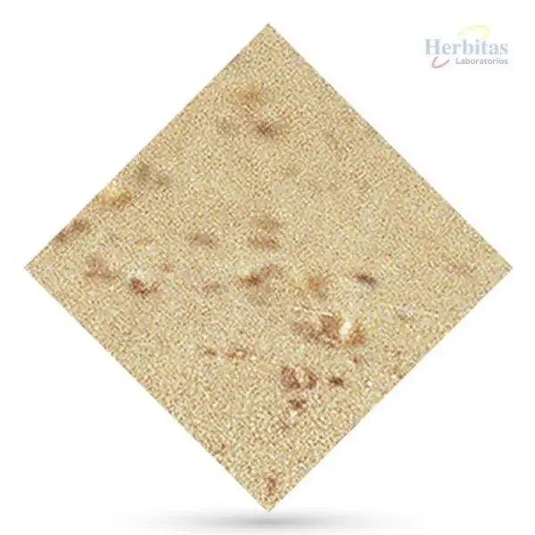 Herbiliegere H