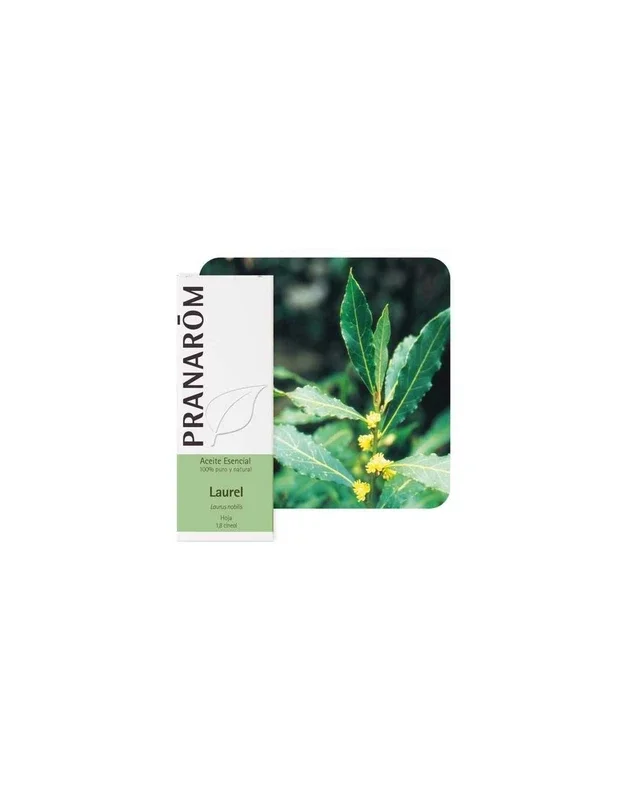 Laurel Aceite Esencial 10ml Pranarom