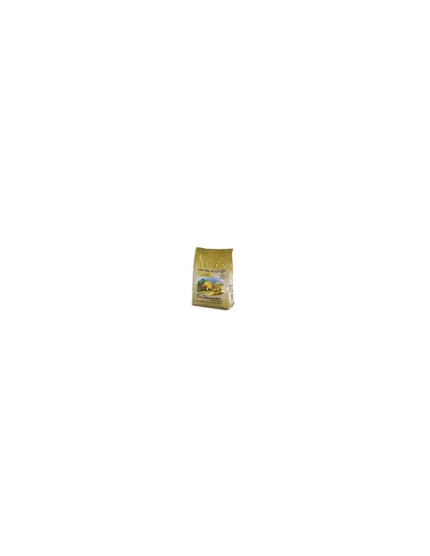 Lecitina de Soja Bolsa 500 gr.