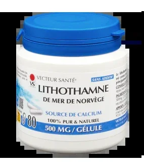 Lithothamne noruego-80 cápsulas-Vector de salud