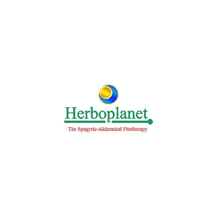 Memactiv 100ml – Herboplanet