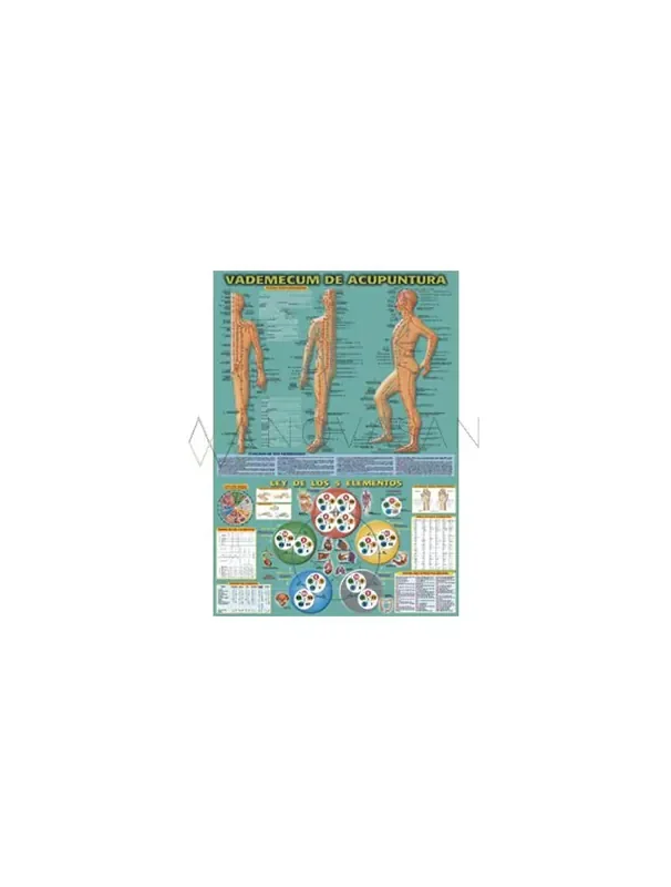 Poster Vademecum de acupuntura