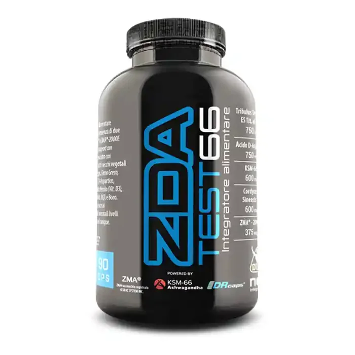 PRUEBA ZDA 66 90CPR