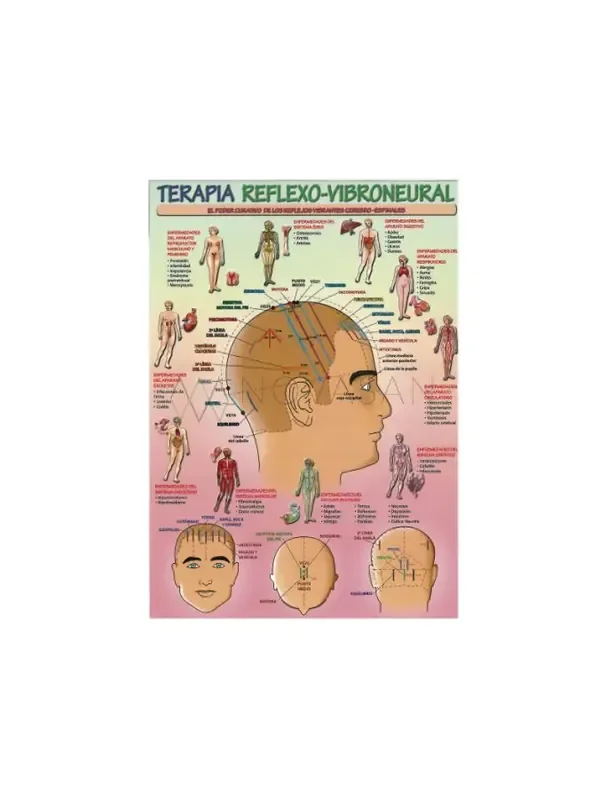 Terapia reflexo-vibroneural