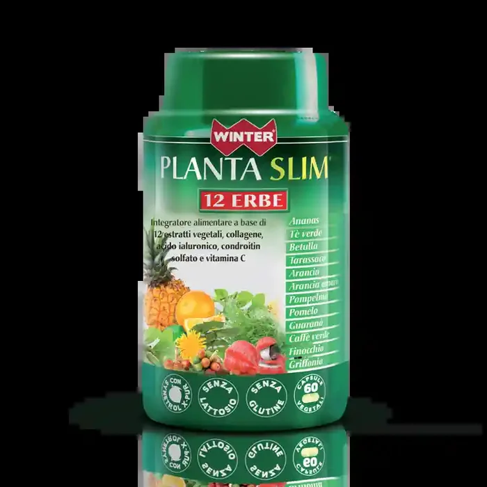 WINTER PLANTA SLIM 12ERBE60CPS